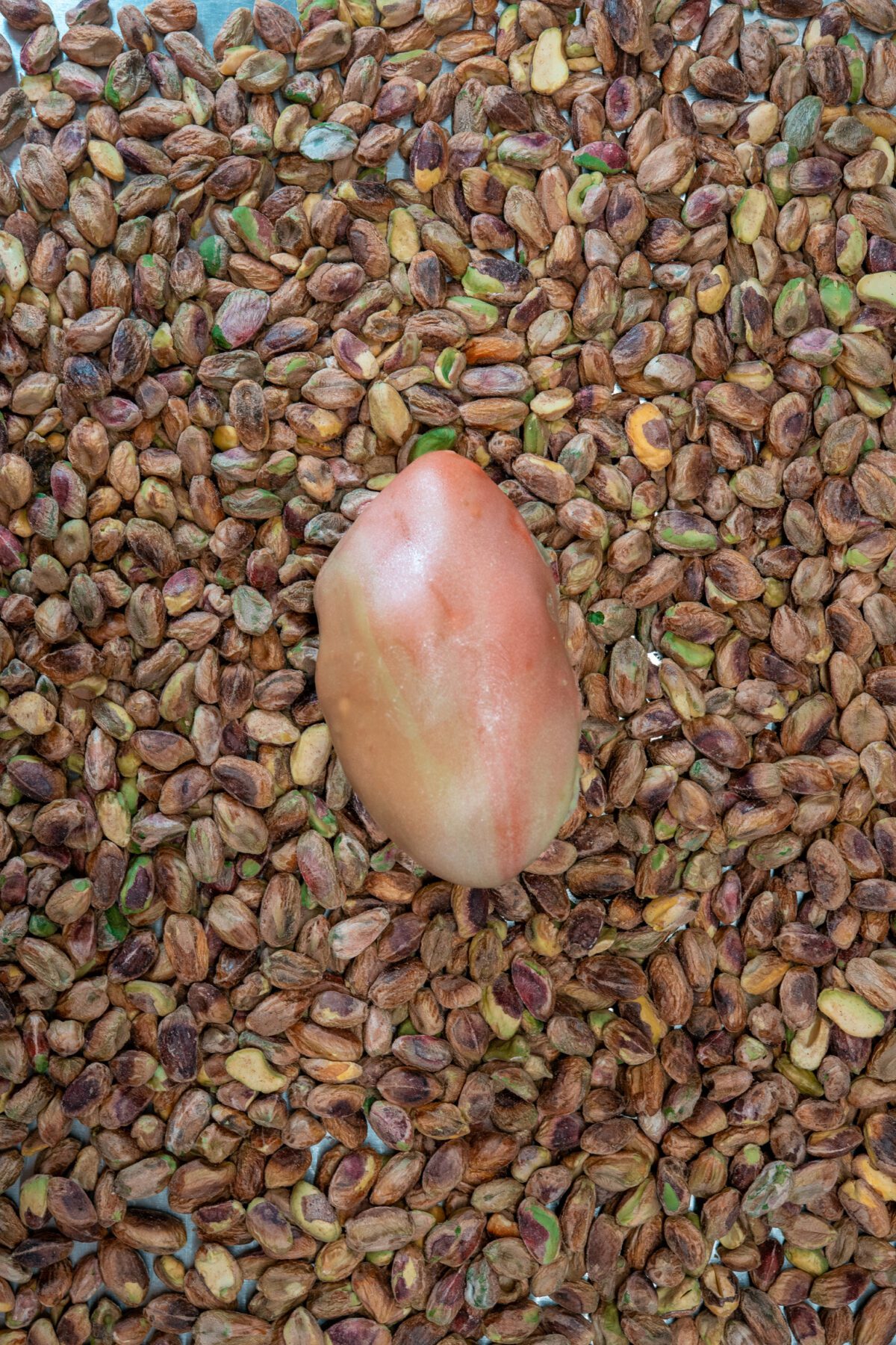 pistache